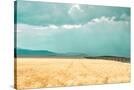 Stretched Canvas
