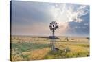 Stretched Canvas