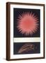 Brown Frame