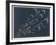 Gramercy Black
