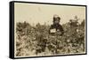 Annie Bissie Picking Berries in the Fields Near Baltimore, Maryland, 1909-Lewis Wickes Hine-Framed Stretched Canvas