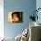 Annie Girardot Bernard Blier: Elle Boit Pas, Elle Fume Pas, Elle Drague Pas Mais... Elle Cause !, 1-Marcel Dole-Photographic Print displayed on a wall