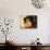 Annie Girardot Bernard Blier: Elle Boit Pas, Elle Fume Pas, Elle Drague Pas Mais... Elle Cause !, 1-Marcel Dole-Mounted Photographic Print displayed on a wall