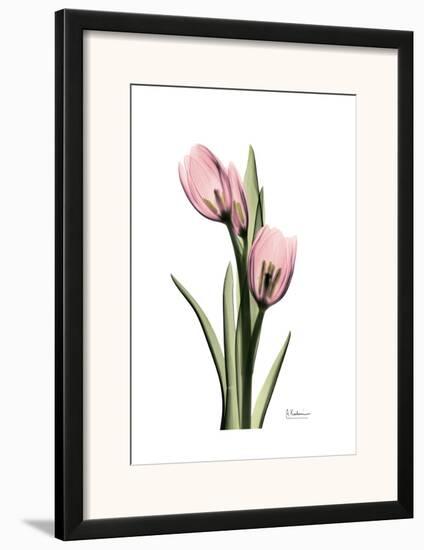 Annie Tulip-Albert Koetsier-Framed Art Print