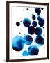 Gramercy Espresso