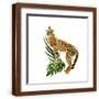 Brown Frame