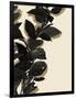Gramercy Black
