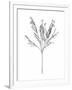 Gramercy White