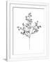 Gramercy White