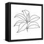 Canvas Black
