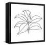 Canvas Black