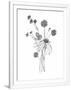 Gramercy White