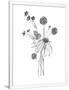 Gramercy White
