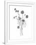 Gramercy White
