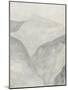 Wood Mount