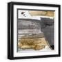 Chelsea Black