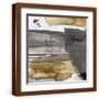 Brown Frame