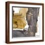 Brown Frame