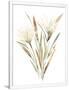 Gramercy White