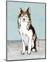 Wood Mount