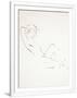 Gramercy White