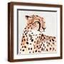Brown Frame
