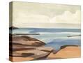 Stretched Canvas