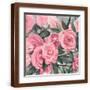 Brown Frame