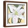 Brown Frame