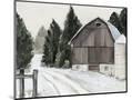 Wood Mount