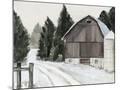 Wood Mount