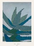 Windmill Palm-Annika John-Giclee Print