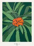 Aloe Ferox-Annika John-Giclee Print