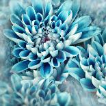 Photo Illustration of Abstract Flower Petals in Blue-Annmarie Young-Laminated Photographic Print