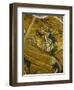 Announcement to the Shepherds-null-Framed Giclee Print