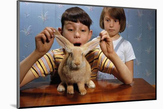 Annoying Brother Playing with His Sister's Pet Rabbit-William P. Gottlieb-Mounted Photographic Print