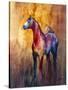 Stretched Canvas