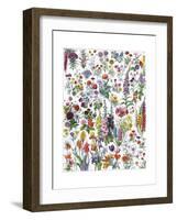 Annual and Biannual Flowers-null-Framed Giclee Print