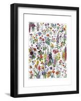 Annual and Biannual Flowers-null-Framed Giclee Print