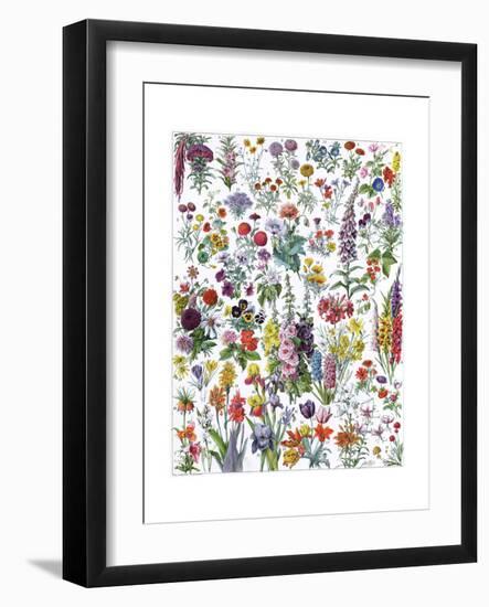 Annual and Biannual Flowers-null-Framed Giclee Print