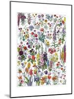 Annual and Biannual Flowers-null-Mounted Giclee Print