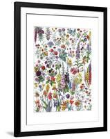 Annual and Biannual Flowers-null-Framed Giclee Print