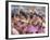 Annual Loy Krathong Festival in Sukhothai, Thailand-Alain Evrard-Framed Photographic Print