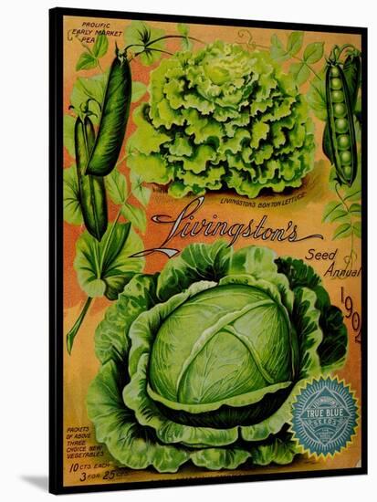 Annual Of True Blue Lettuce-Vintage Apple Collection-Stretched Canvas