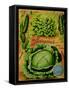 Annual Of True Blue Lettuce-Vintage Apple Collection-Framed Stretched Canvas