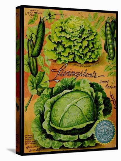 Annual Of True Blue Lettuce-Vintage Apple Collection-Stretched Canvas