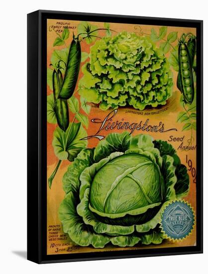 Annual Of True Blue Lettuce-Vintage Apple Collection-Framed Stretched Canvas