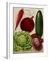 Annual Of True Blue Veggies-Vintage Apple Collection-Framed Giclee Print