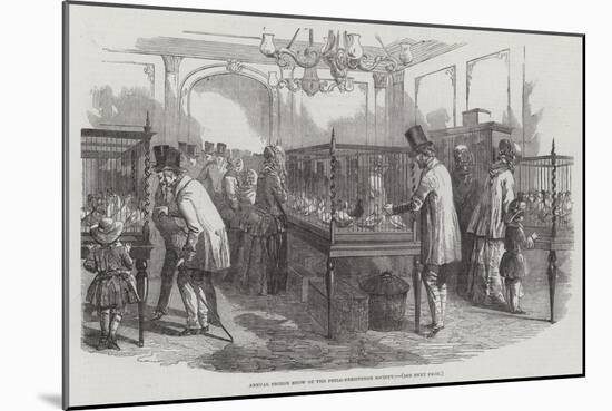 Annual Pigeon Show of the Philo-Peristeron Society-null-Mounted Giclee Print