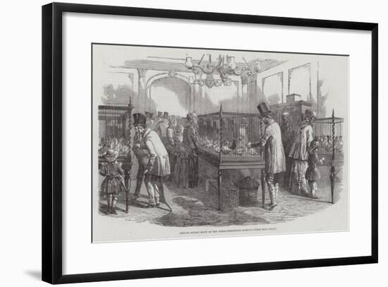 Annual Pigeon Show of the Philo-Peristeron Society-null-Framed Giclee Print